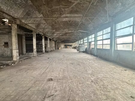 local d'activite entrepot 6000m2