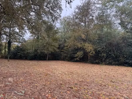 vente terrain 1163 m² à louchats (33125)  87 000 €