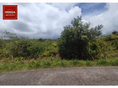 a vendre terrain agricole – 989 m² – saint-benoît (97470)