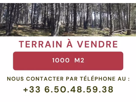 vente terrain 1000 m² à formiguères (66210)  215 000 €