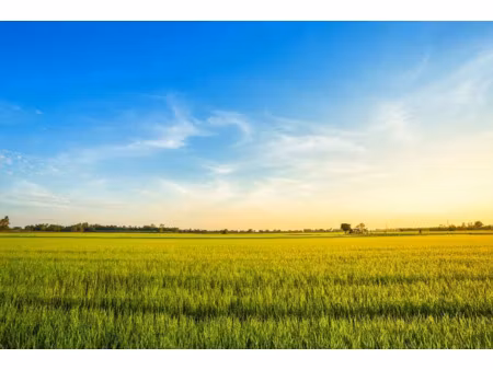 vente terrain 2000 m² à amboise (37400)  250 000 €