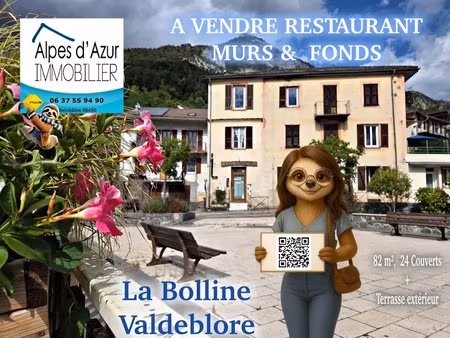 vente locaux professionnels 53 m² à valdeblore (06420)  69 000 €