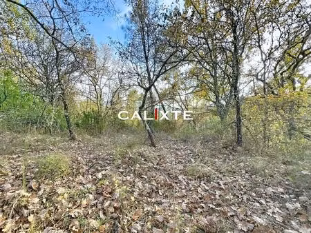 saint-paul-en-foret terrain agricole