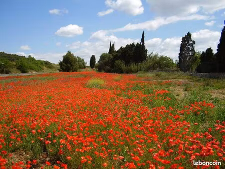 recherche maison a louer