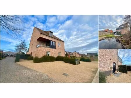 rez-de-chaussée à louer à oosthoek 54 oosteeklo (rbu84481)