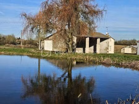 vente maison au busseau (79240) : à vendre / 169m² le busseau