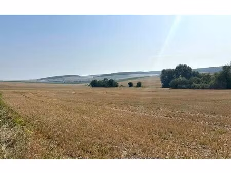 terrain coulonges-cohan m² t- à vendre  104 000 €