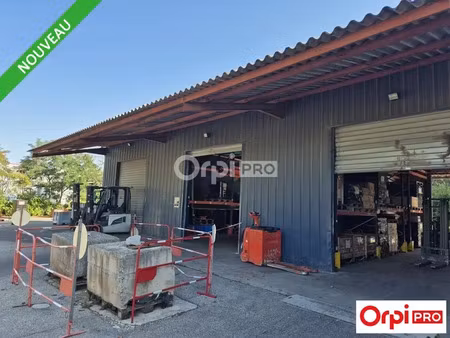 local d'activité a louer