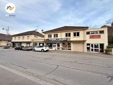 prestigieux immeuble de rapport en vente à sierentz  grand est