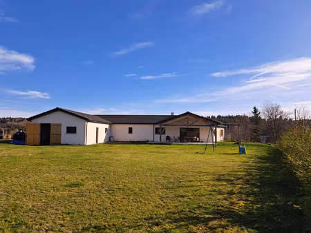 achat maison 10 pièces 143m² mazet st voy 43520