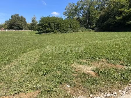 terrain constructible