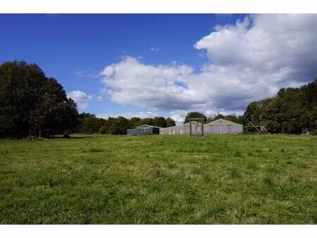 achat local commercial st caradec tregomel 56540