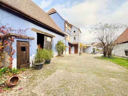 vente maison 10 pièces  284.00m²  hattstatt