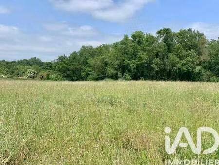 vente terrain à angliers (17540) : à vendre / 1003m² angliers