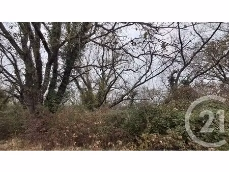 terrain à vendre - 2618 m2 - sardan - 30 - languedoc-roussillon
