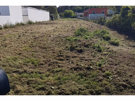 annonce terrain à vendre