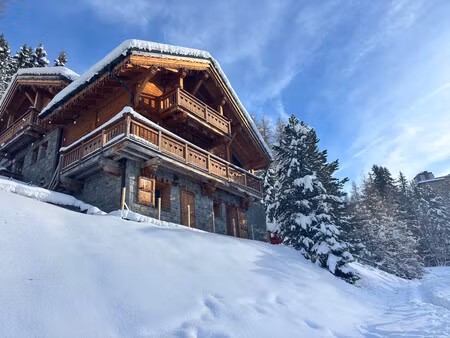 chalet à vendre à la plagne (73210) - savoie