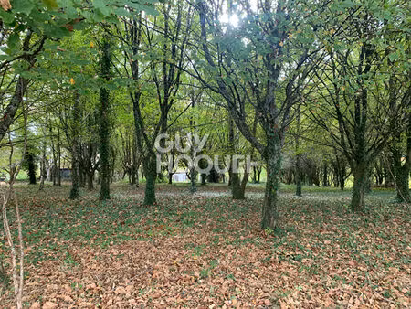 terrain castillon (canton d arthez de bearn) 1700 m2