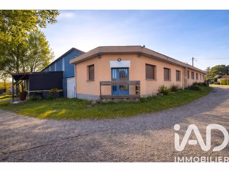 vente immeuble 200 m² preignac (33210)