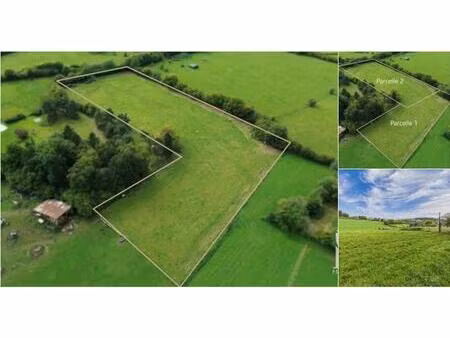 terrain à vendre à chemin de l'absent heusy (vbd60949)