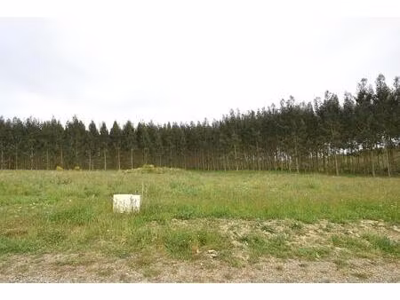 vente terrain 1133 m² castelnau-tursan (40320)