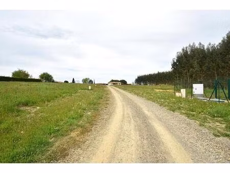 vente terrain 982 m² castelnau-tursan (40320)
