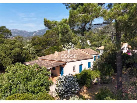 vente maison 5 pièces 104 m² à porto-vecchio (20137)  548 000 €