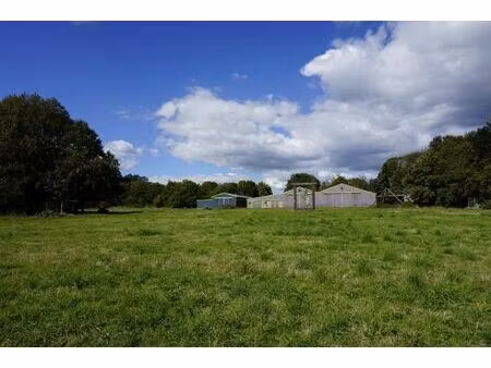 vente commerce 1 pièce saint-caradec-trégomel (56540)