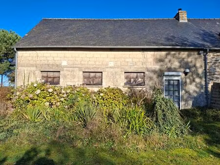 vente maison 1 pièce 110 m² tréal (56140)