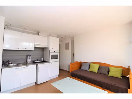 location appartement 1 pièce 21 m² à saint-cyprien (66750)