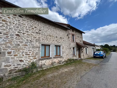maison en pierre  3 chambres sur 2859m2 de terrain