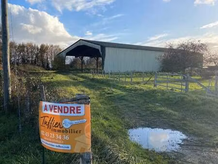 vente maison à montfort-le-gesnois (72450) : à vendre / 1000m² montfort-le-gesnois