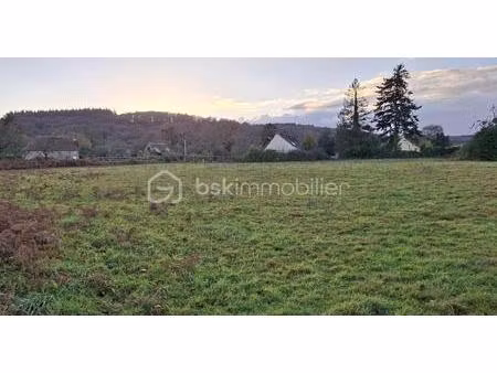 exclusivite bsk immobilier : fabien guezet