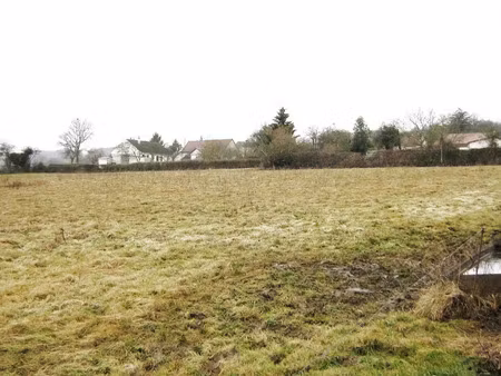 vente terrain à crux-la-ville (58330)  29 000 €