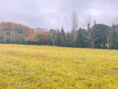vente terrain 999 m² à mensignac (24350)  35 000 €
