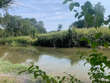 vente terrain 114 m² à noizay (37210)  14 000 €