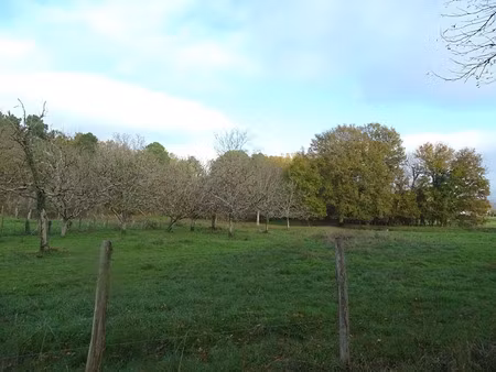 vente terrain 3972 m² à douzillac (24190)  30 500 €