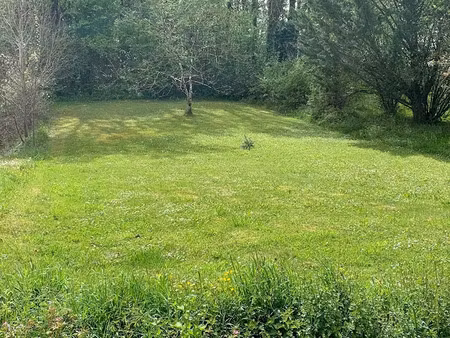 vente terrain 1007 m² à chançay (37210)  66 000 €