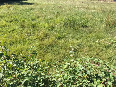 vente terrain 316 m² à servas (01960)  51 500 €