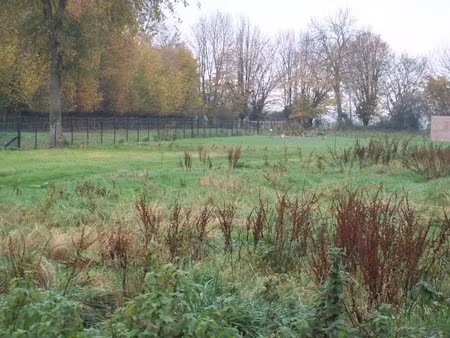 vente terrain 642 m² à warluis (60430)  75 000 €