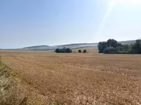 vente terrain 5310 m² à coulonges-cohan (02130)  95 000 €