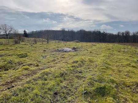 vente terrain 3250 m² à reugny (37380)  87 000 €