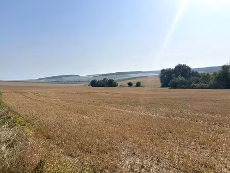 vente terrain à batir 5310 m² à coulonges-cohan (02130)  104 000 €