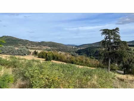 vente terrain 972 m² à bourg-argental (42220)  89 000 €