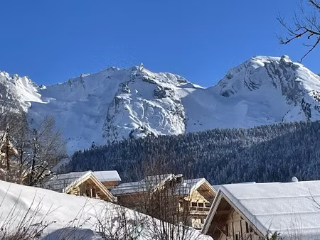 vente terrain 982 m² à le grand-bornand (74450)  720 000 €