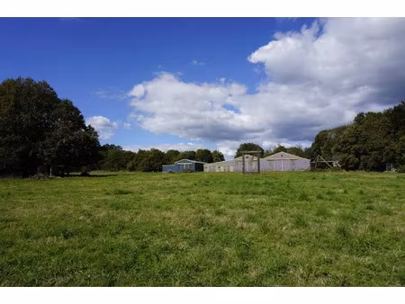 vente locaux professionnels à saint-caradec-trégomel (56540)  189 625 €