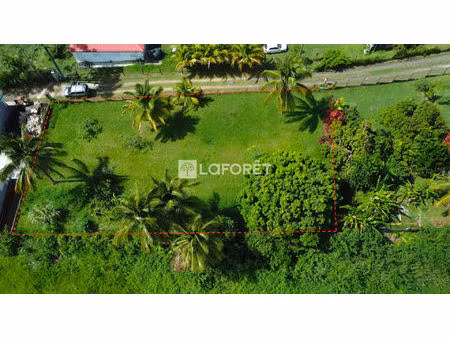 terrain plat au lamentin de 1171 m²