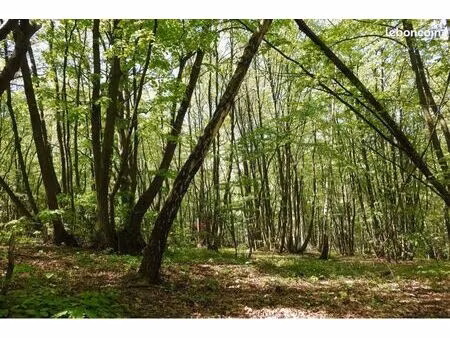 bois de loisir - parcelle 1150m2 au calme