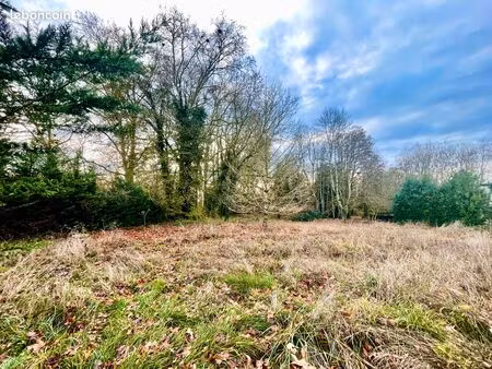 a vendre terrain constructible de 2100 m2 à clerey