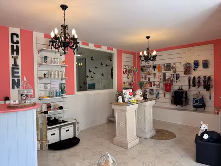 location locaux professionnels à castres (81100)  350 €